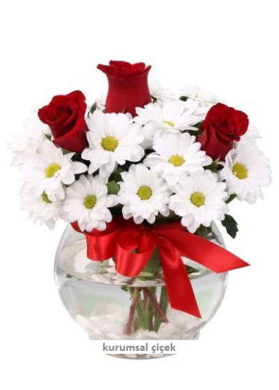 Fanus Vazoda Papatya ve 3 Ad. Gül