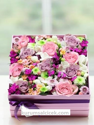 Kutu İçerisinde Çiçekler 5572