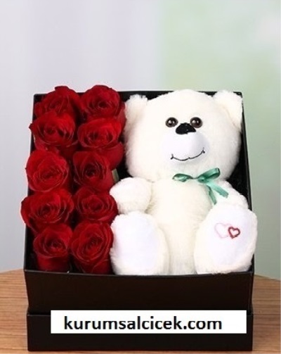 Kutuda Kırmızı Gül ve Ayıcık 3509