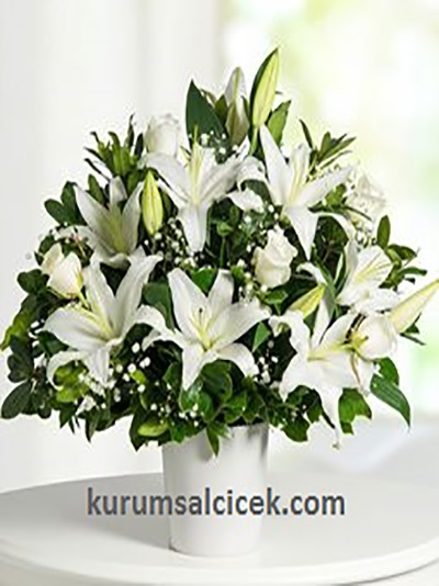 Oval Seramik İçinde Beyaz Aranjman