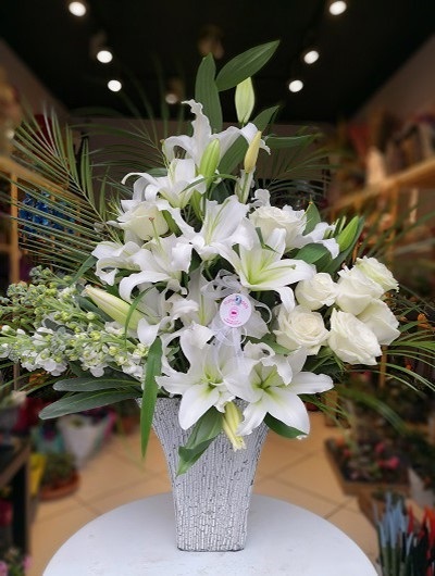 Taro Vazoda Aranjman 5724