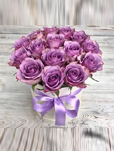 Lila Renk Güller 5634