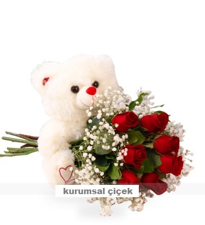 Ayıcık ve 7 Adet Kırmızı Gül