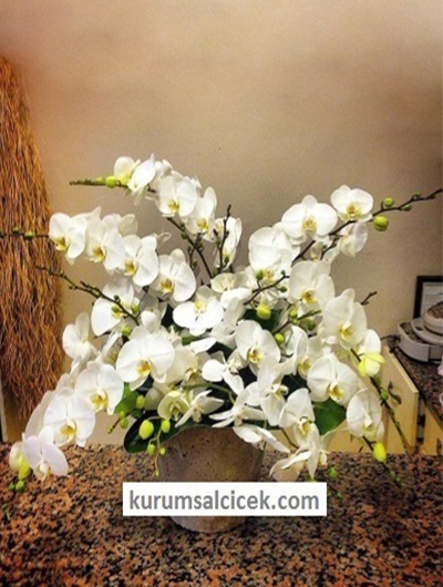 Dekoratif Aranjman 2124