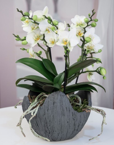 Dekor Midi Orkide 5762