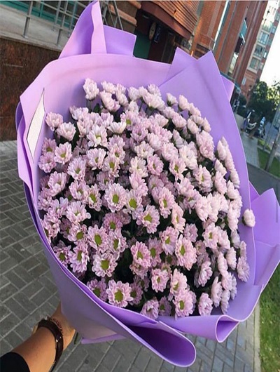 Lila Papatya Buketi 5449